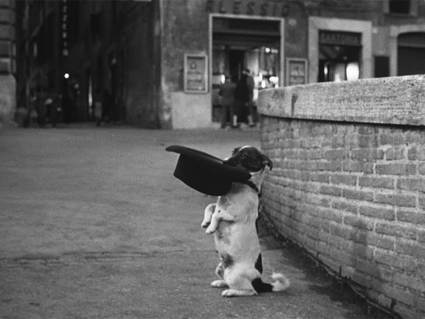 No dolce vita for the U.S.-Italian wine trade. (And a note on the meaning of the phrase; it’s not what you&nbsp;think!)